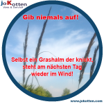 gib niemals auf! selbst ein grashalm der knickt, steht am nächsten tag wieder im wind.